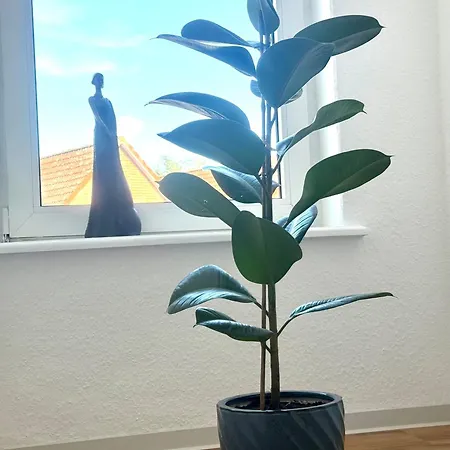 Fleiger 5 In Zentrum Achim